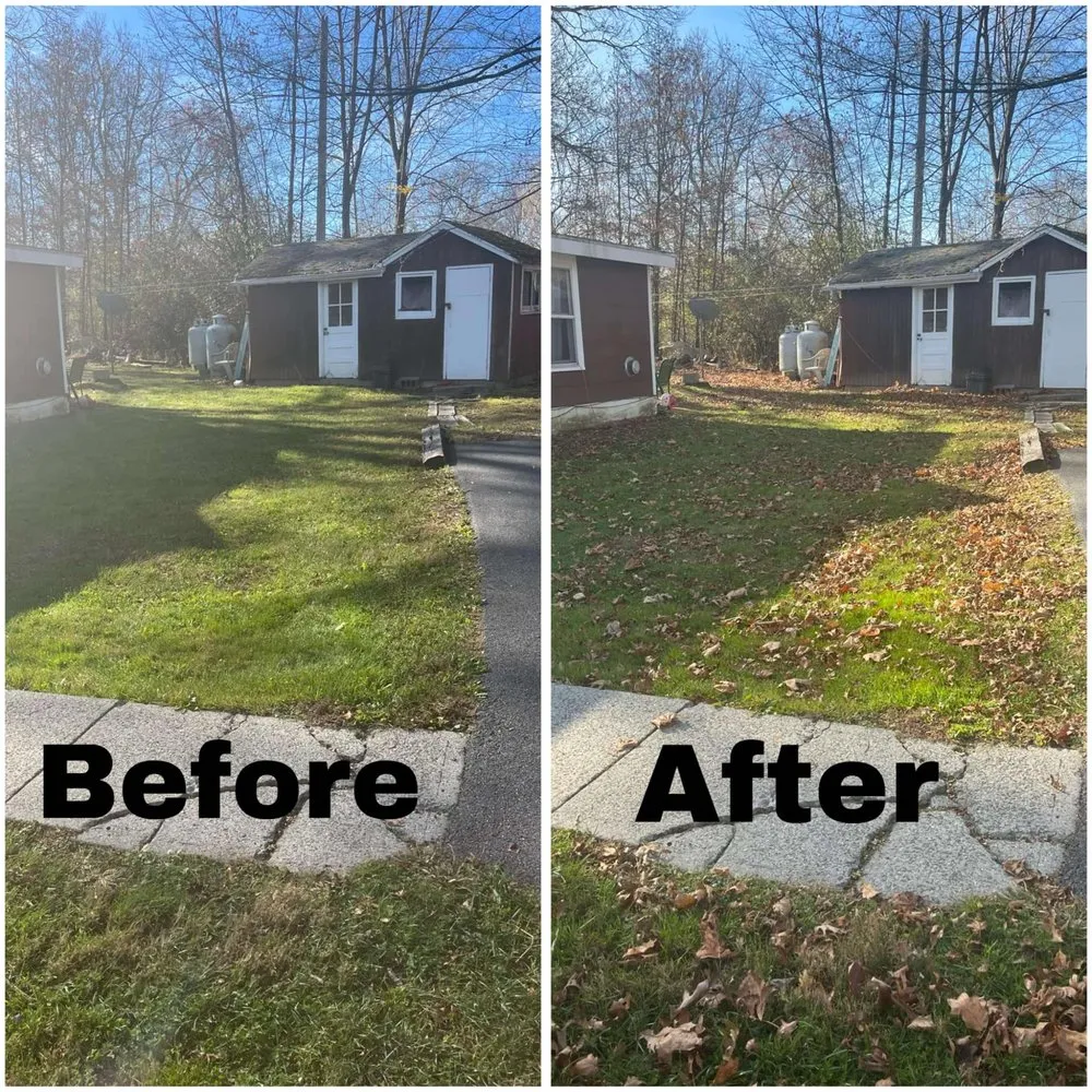 Local yard maintenance experts serving Pine Bush, NY - NY Turf Pros