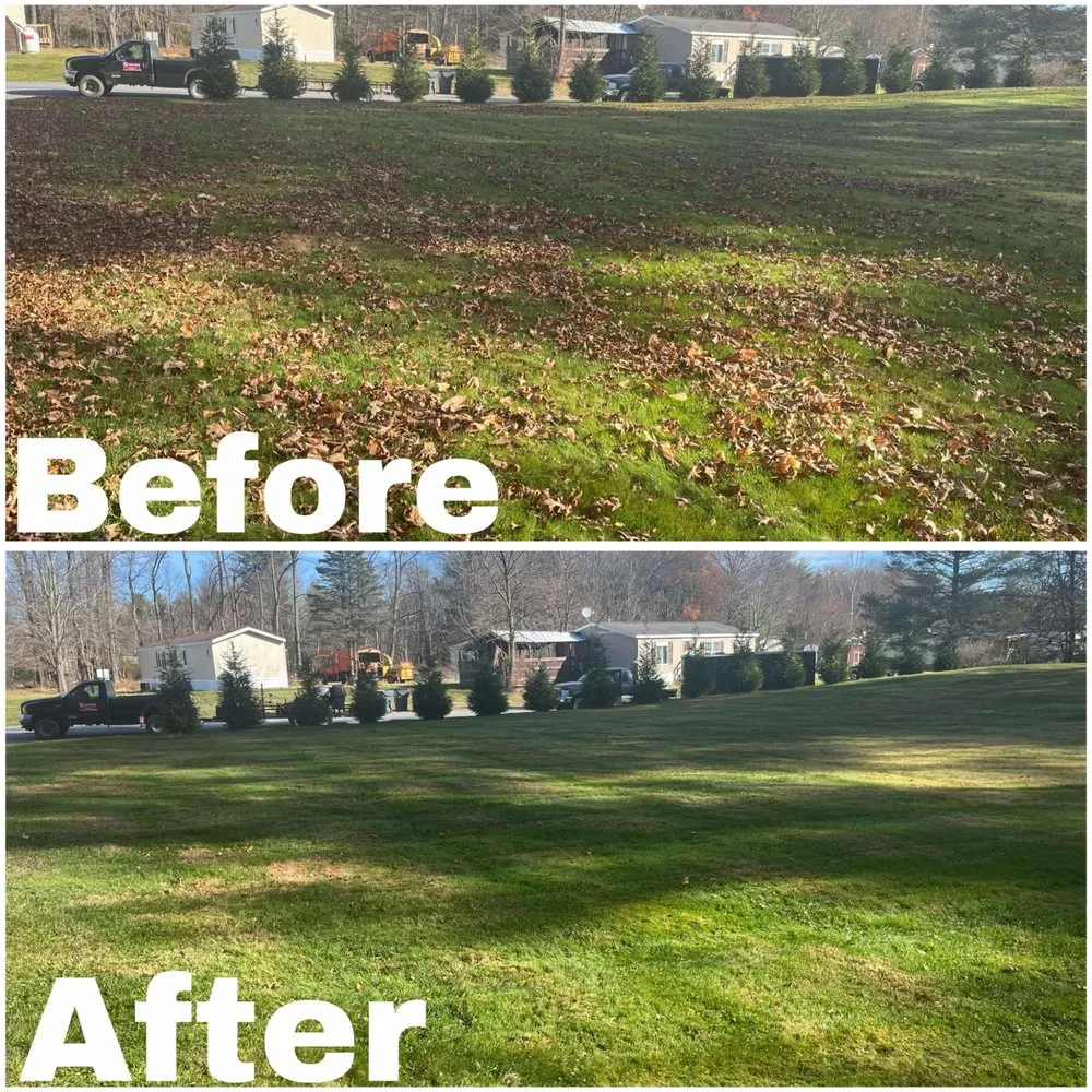 Affordable lawn care service experts serving Pine Bush, NY - NY Turf Pros