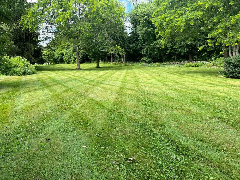 Trusted landscape design experts serving Pine Bush, NY - NY Turf Pros