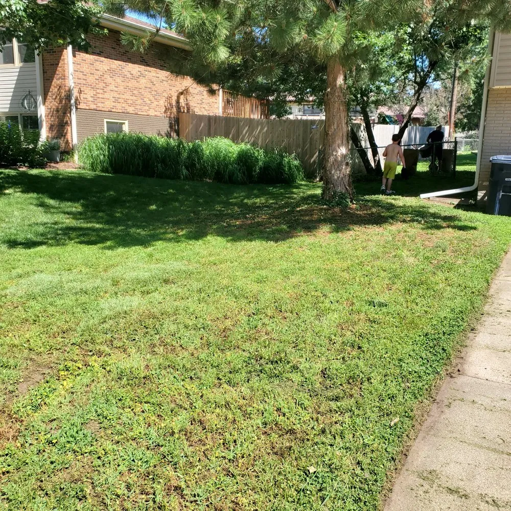 Local yard cleanup service in Lincoln, NE by NYA Lawn Care And Services