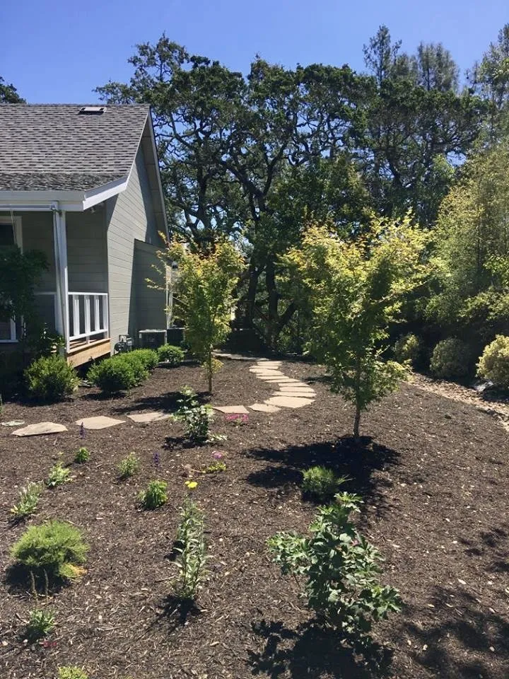 Top-rated landscape design for residential properties in Sonoma, CA by Nyberg Landscaping