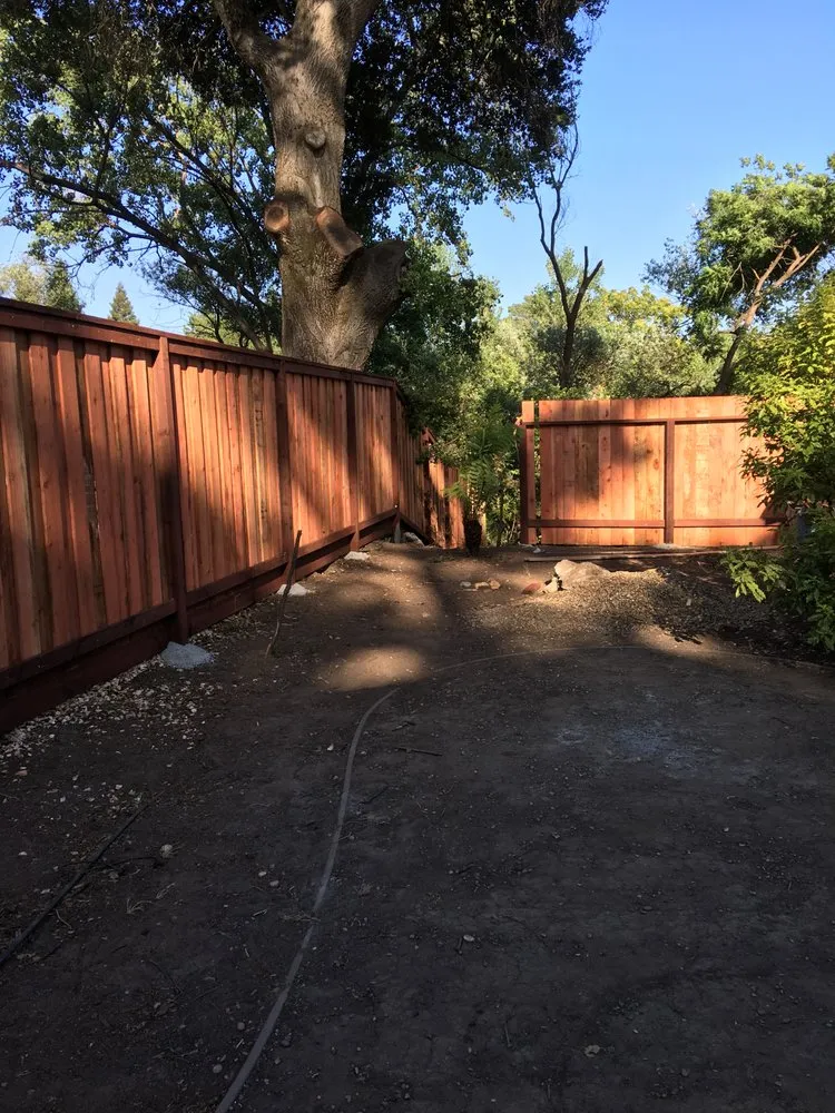 Professional yard maintenance experts serving Sonoma, CA - Nyberg Landscaping