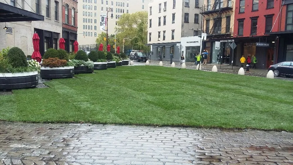 Professional landscaping services in New York, NY - NYC Grass