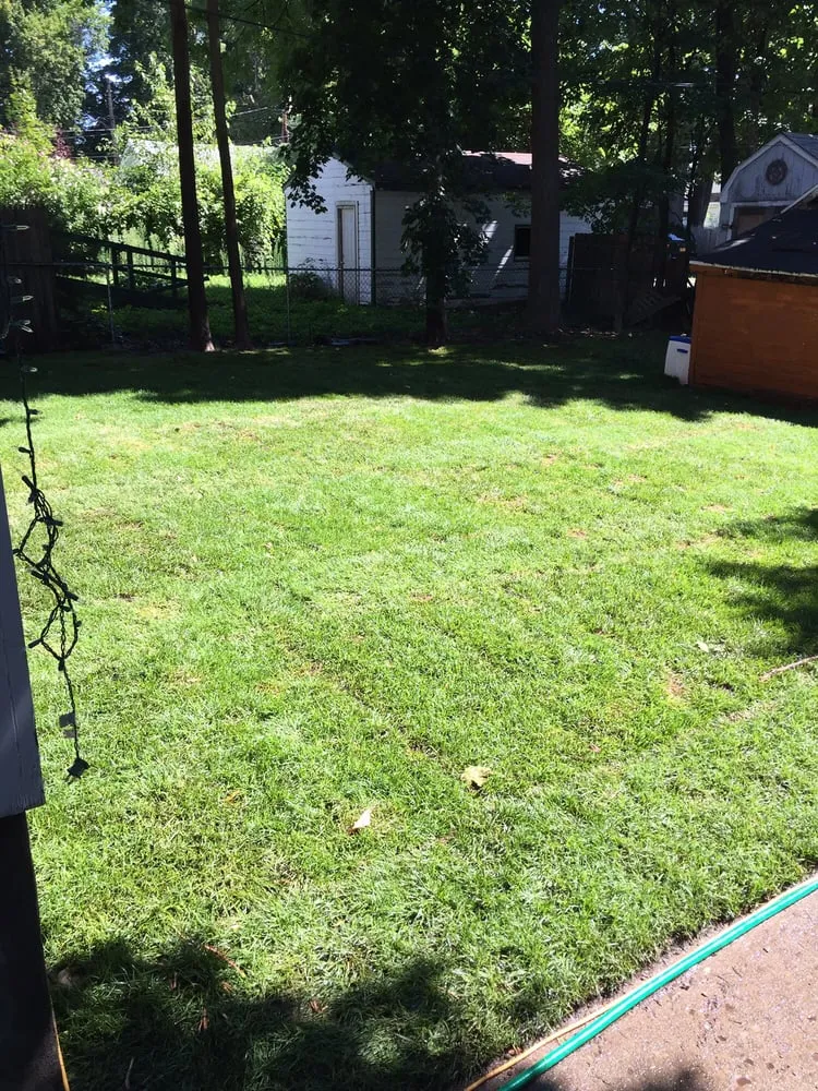 Trusted outdoor landscaping for beautiful yards in New York, NY by NYC Grass