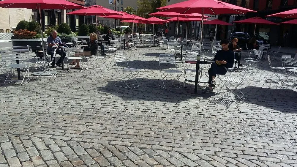 Affordable yard cleanup service for beautiful yards in New York, NY by NYC Grass