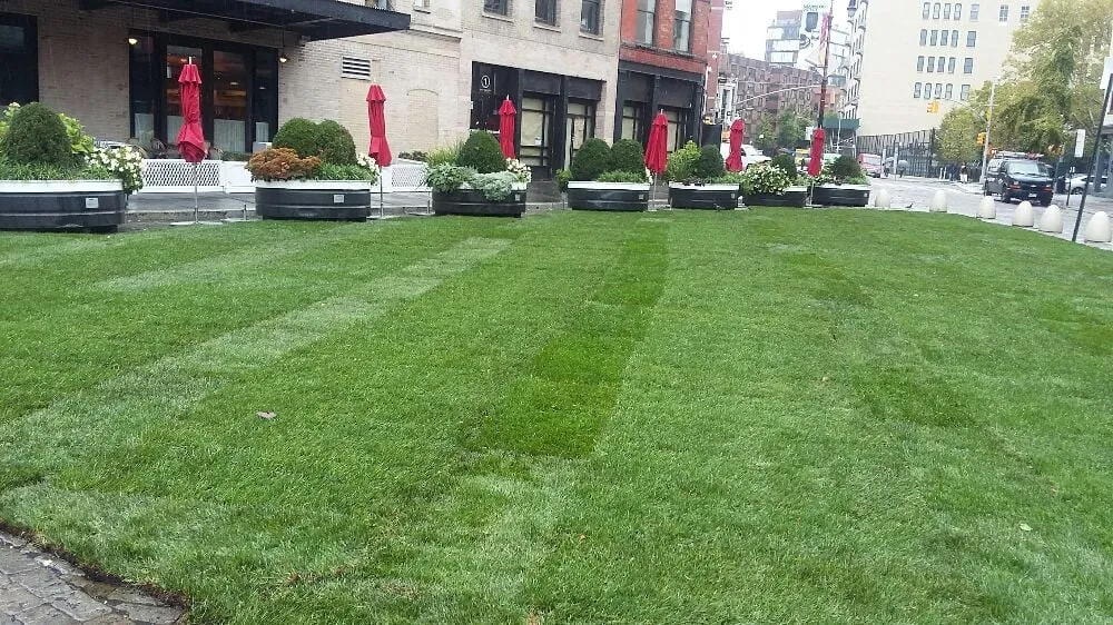 Custom outdoor landscaping for outdoor upgrades in New York, NY by NYC Grass