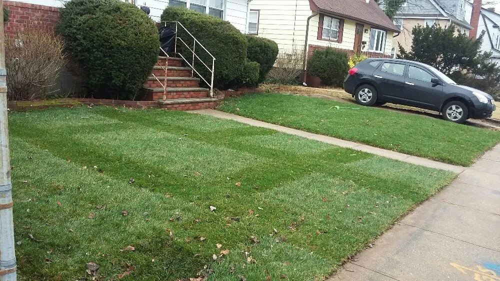 Custom landscaping services in New York, NY by NYC Grass