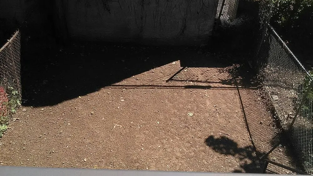 Local lawn care service near you in New York, NY by NYC Grass