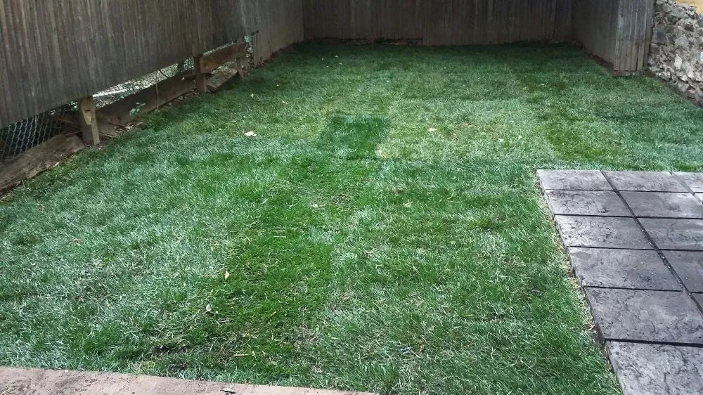 Expert outdoor landscaping experts serving New York, NY - NYC Grass