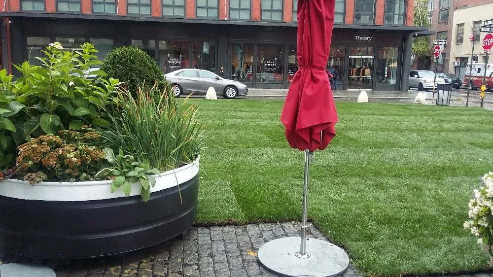 Professional lawn care service for homes across New York, NY - NYC Grass