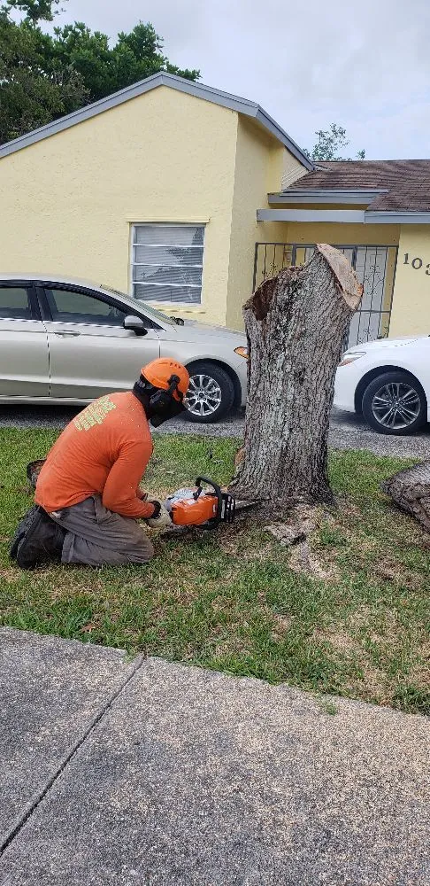 Trusted yard maintenance in Princeton, FL - Nyce Lawn Services