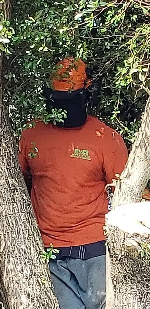 Local landscaping services for outdoor upgrades in Princeton, FL by Nyce Lawn Services