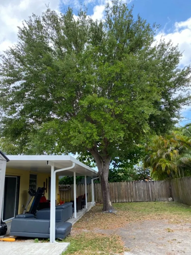 Custom residential landscaping in Princeton, FL - Nyce Lawn Services