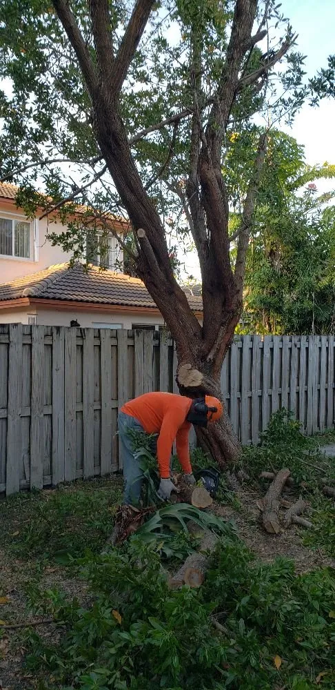 Professional residential landscaping in Princeton, FL - Nyce Lawn Services