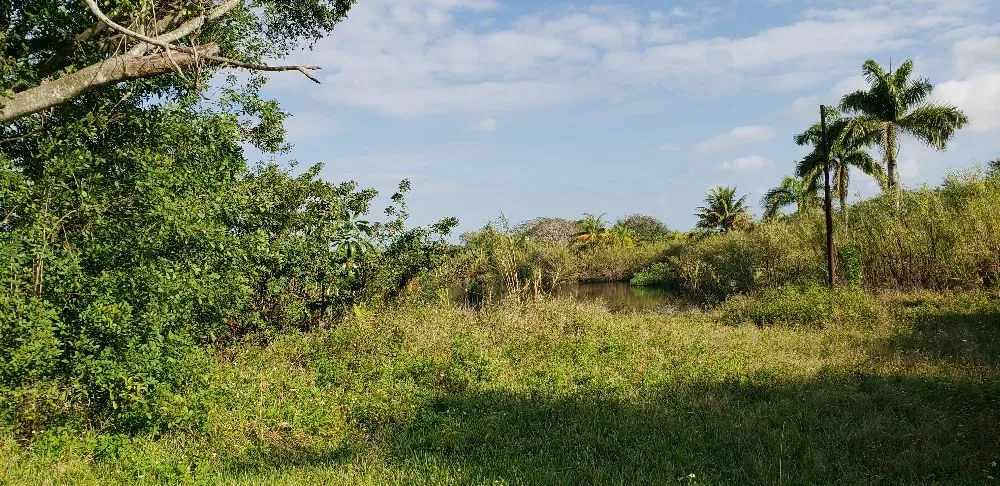 Professional lawn mowing service in Princeton, FL - Nyce Lawn Services