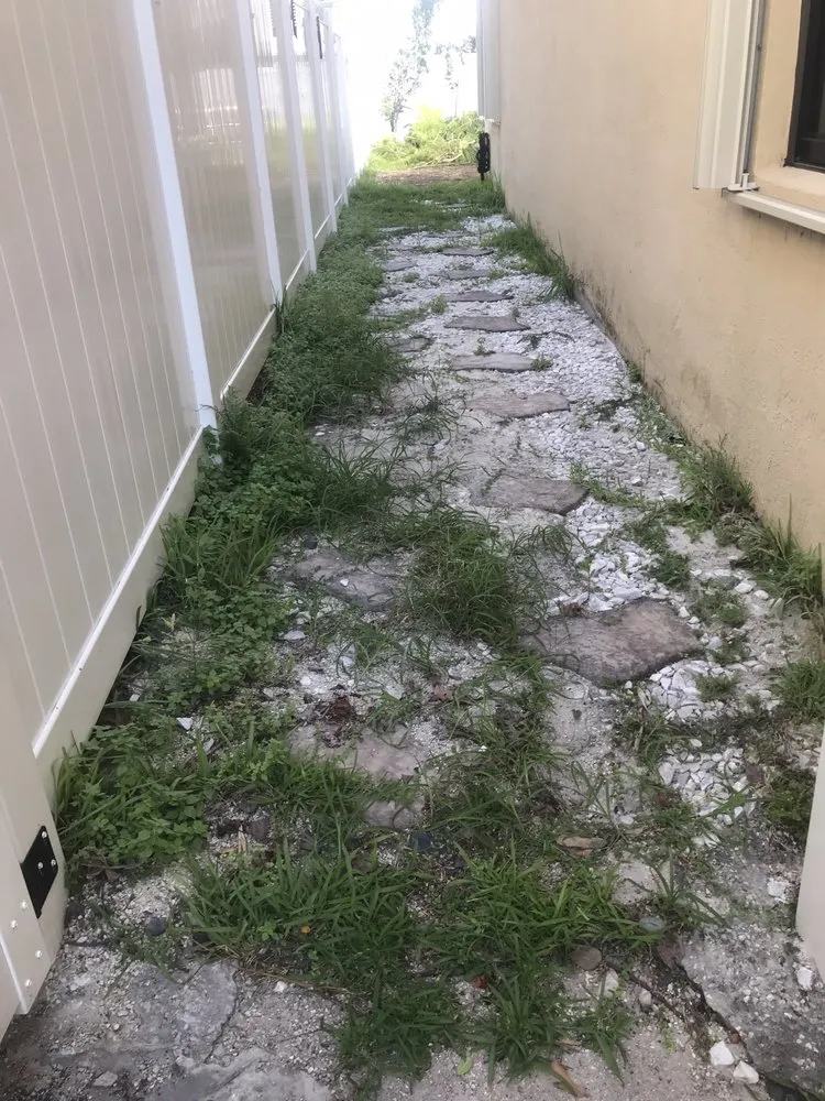 Affordable landscaping services near you in Princeton, FL by Nyce Lawn Services