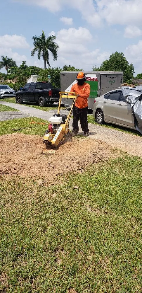 Professional landscaping services in Princeton, FL - Nyce Lawn Services