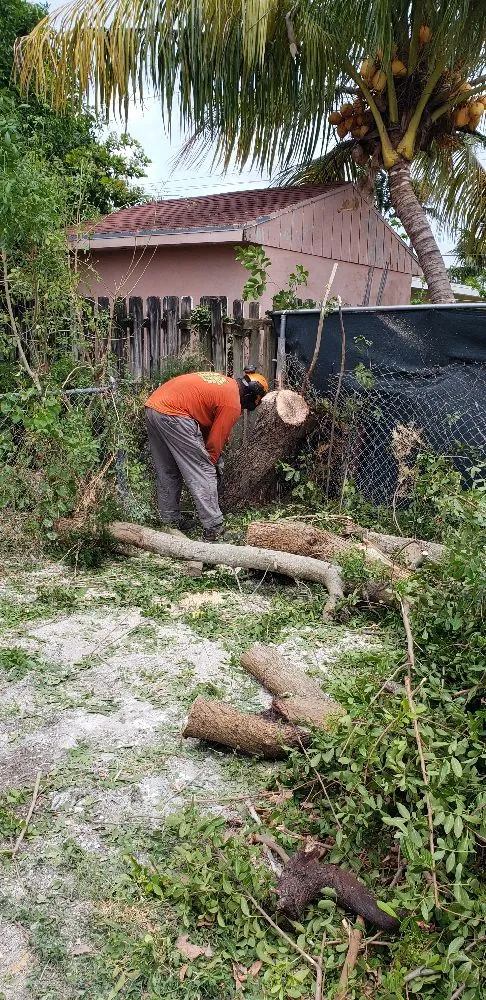 Custom landscape design experts serving Princeton, FL - Nyce Lawn Services