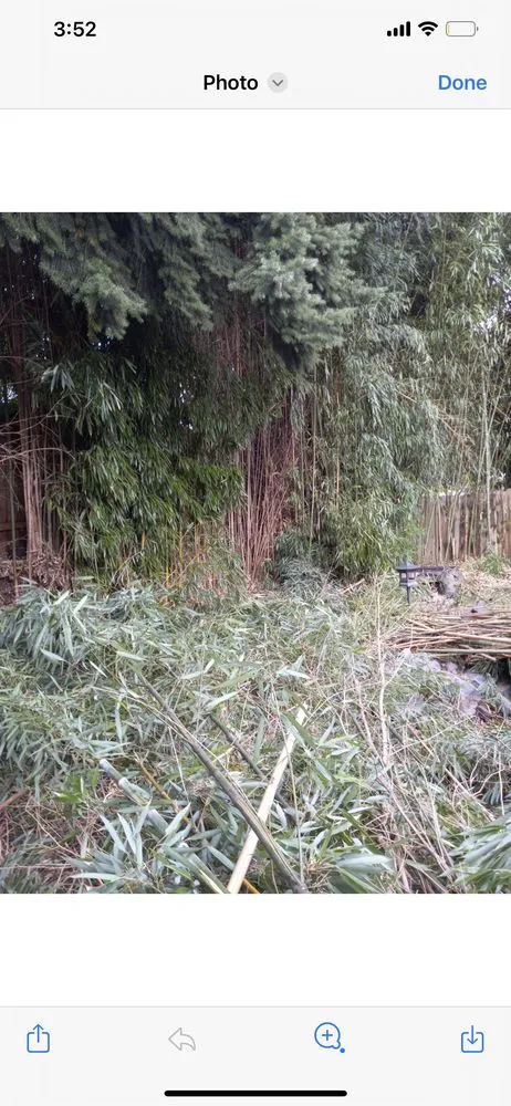 Trusted landscaping services for residential properties in Seattle, WA by Nyen Landscape