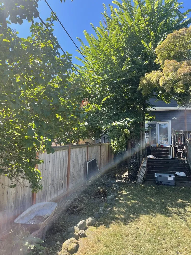 Trusted residential landscaping near you across Seattle, WA - Nyen Landscape