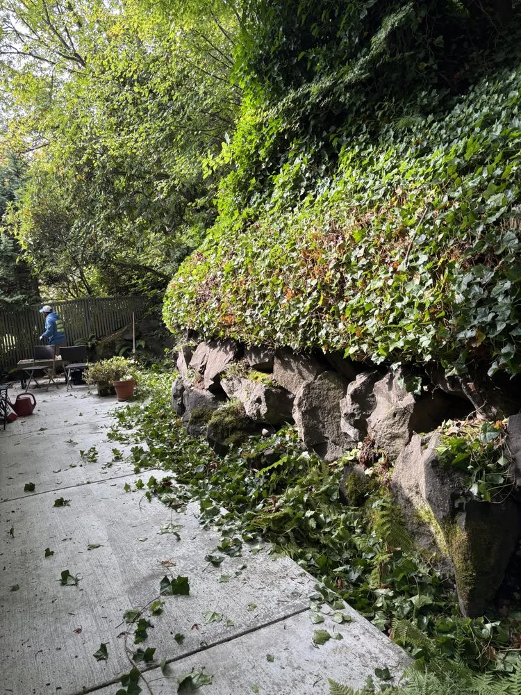 Affordable outdoor landscaping experts serving Seattle, WA - Nyen Landscape