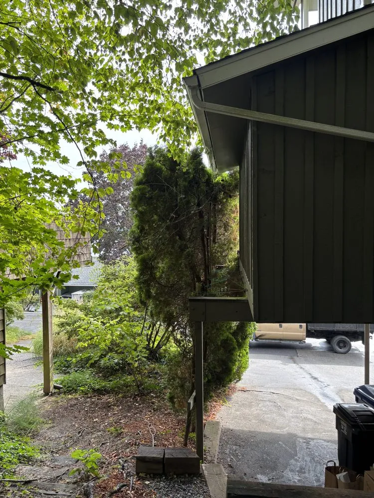 Top-rated yard maintenance for beautiful yards in Seattle, WA by Nyen Landscape