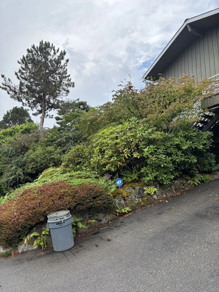Expert yard cleanup service in Seattle, WA - Nyen Landscape