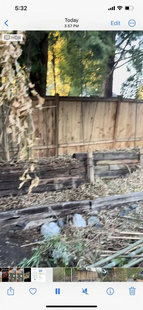 Affordable yard maintenance for outdoor upgrades across Seattle, WA - Nyen Landscape