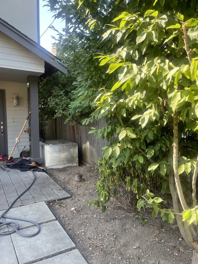 Top-rated yard cleanup service in Seattle, WA by Nyen Landscape