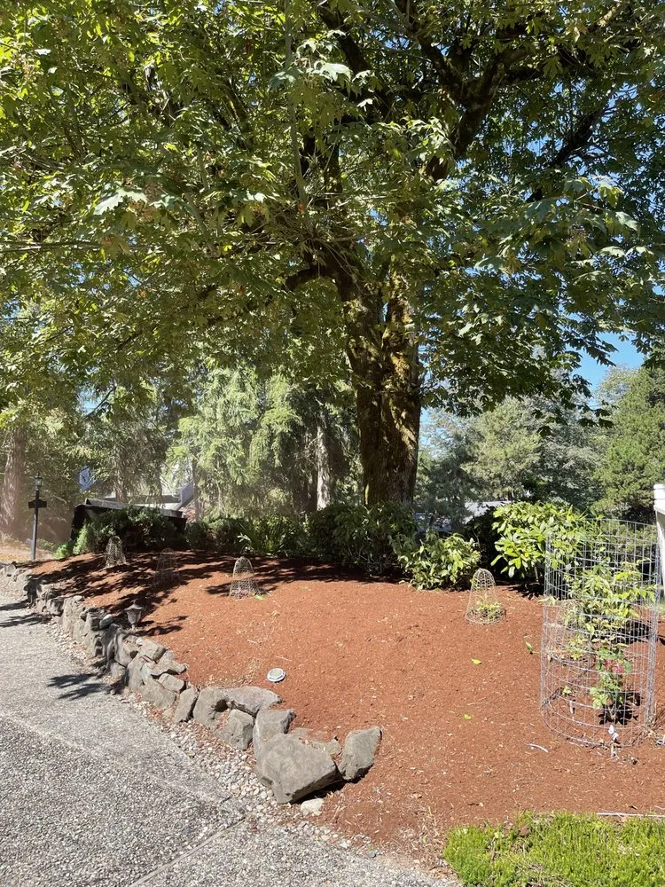 Professional landscape design experts serving Seattle, WA - Nyen Landscape