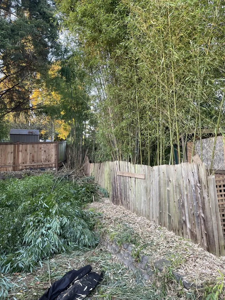 Professional garden landscaping for homes across Seattle, WA - Nyen Landscape