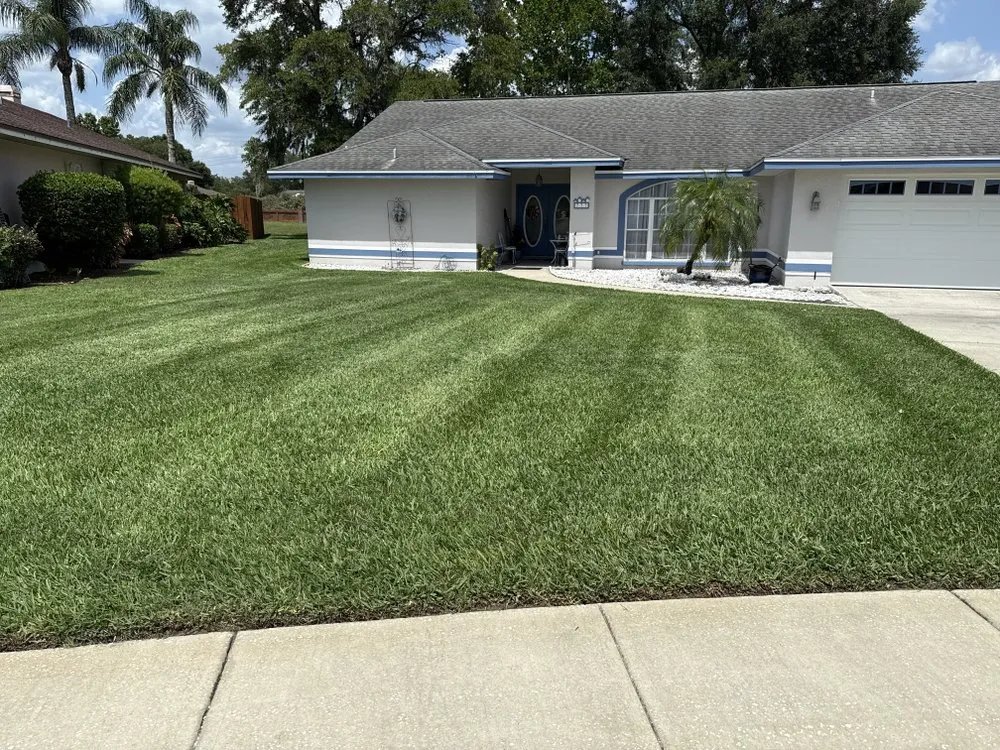 Custom yard cleanup service for beautiful yards across Lakeland, FL - Nyland Lawncare