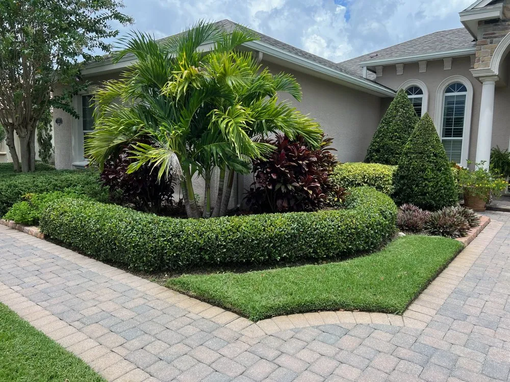 Top-rated yard maintenance in Lakeland, FL - Nyland Lawncare
