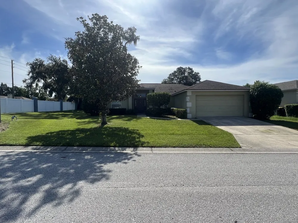 Expert yard cleanup service in Lakeland, FL - Nyland Lawncare