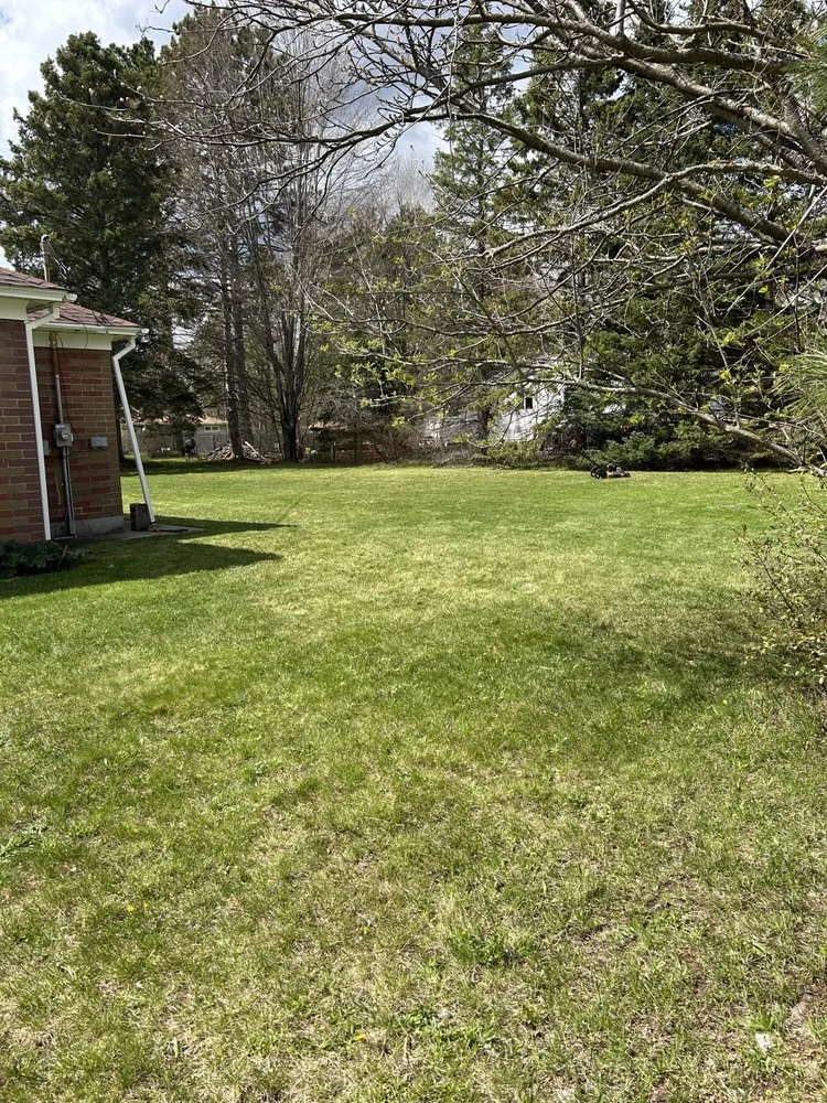 Trusted residential landscaping in Ishpeming, MI by Nylander Lawn Care