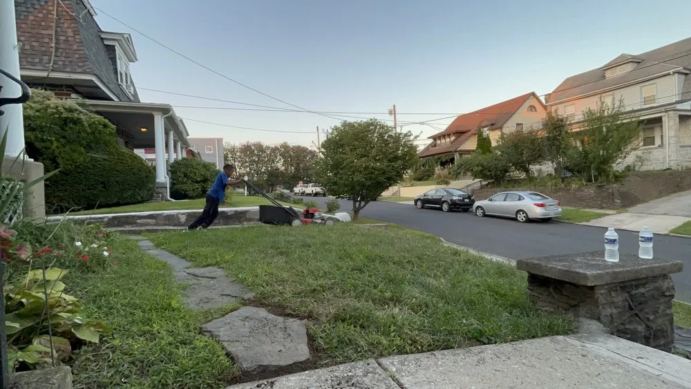 Expert yard cleanup service in Upper Darby, PA - Nylan’s Lawn And Landscape