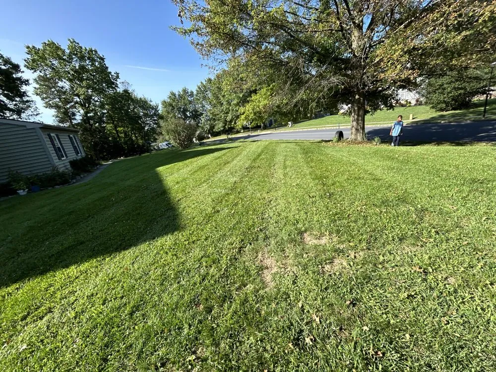 Local yard cleanup service in Upper Darby, PA by Nylan’s Lawn And Landscape