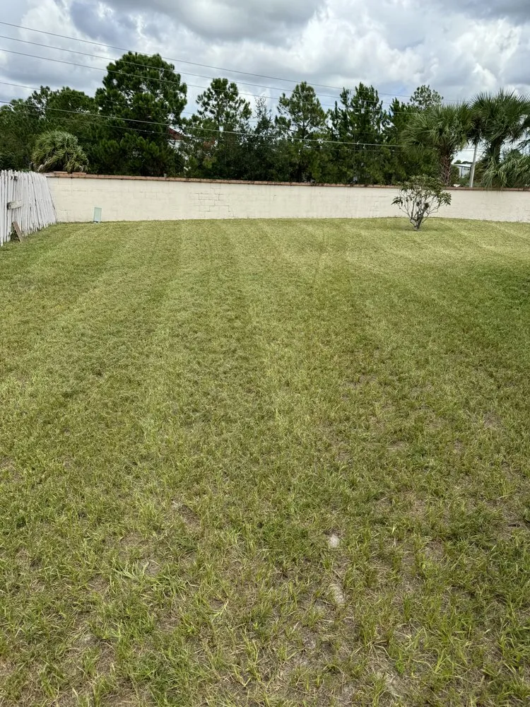 Top-rated lawn mowing service in Kissimmee, FL by NYS Good Cleaning