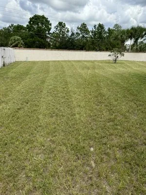 NYS Good Cleaning Logo