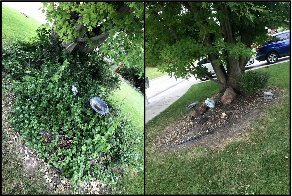 Reliable landscaping services for residential properties across Omaha, NE - N&Z Landscaping