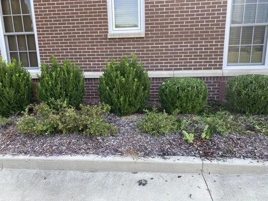 O & TC Lawn Care Service Logo