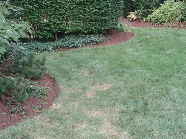Affordable lawn care service near you in Pickerington, OH by O & W Landscaping