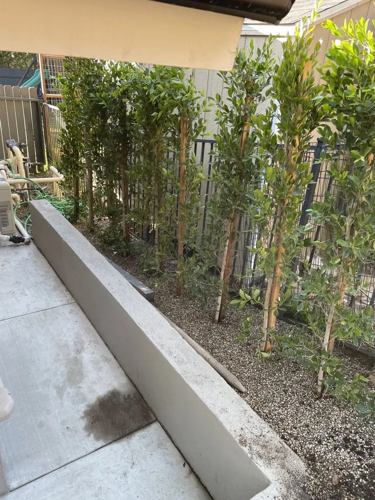 Professional garden landscaping in San Fernando Valley, CA by O Berumen Landscaping N Tree service