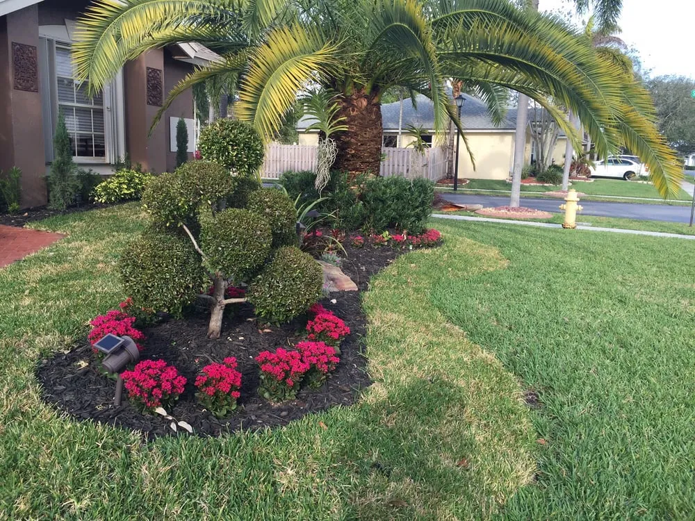 Reliable yard maintenance in Sunrise, FL by O C Landscaping