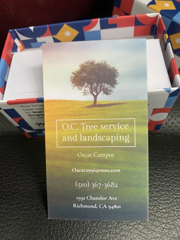 Trusted yard cleanup service for year-round maintenance in Richmond, CA by O C Tree Service and Landscaping