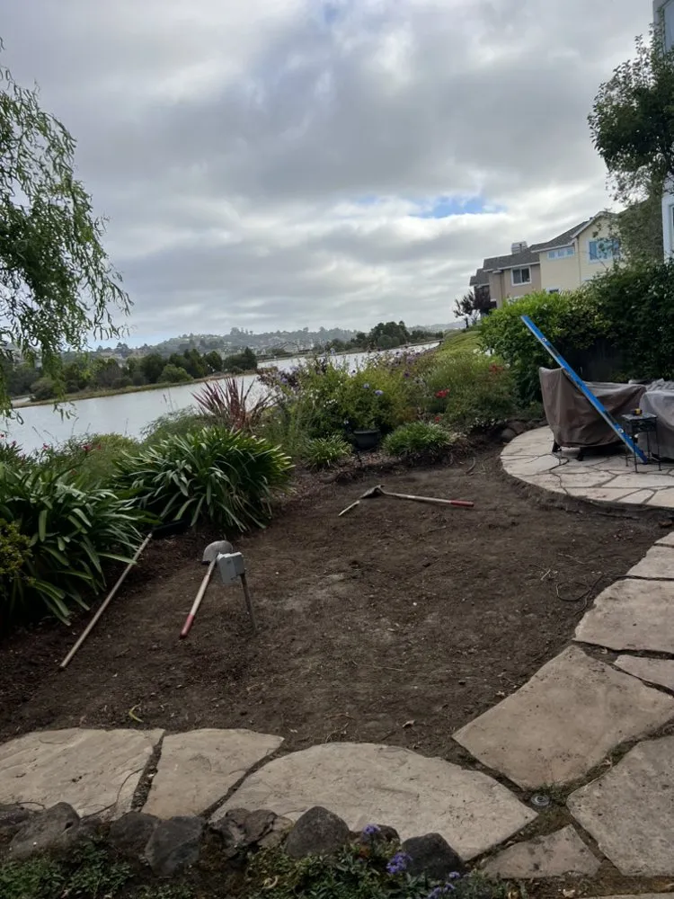 Trusted residential landscaping in Richmond, CA - O C Tree Service and Landscaping