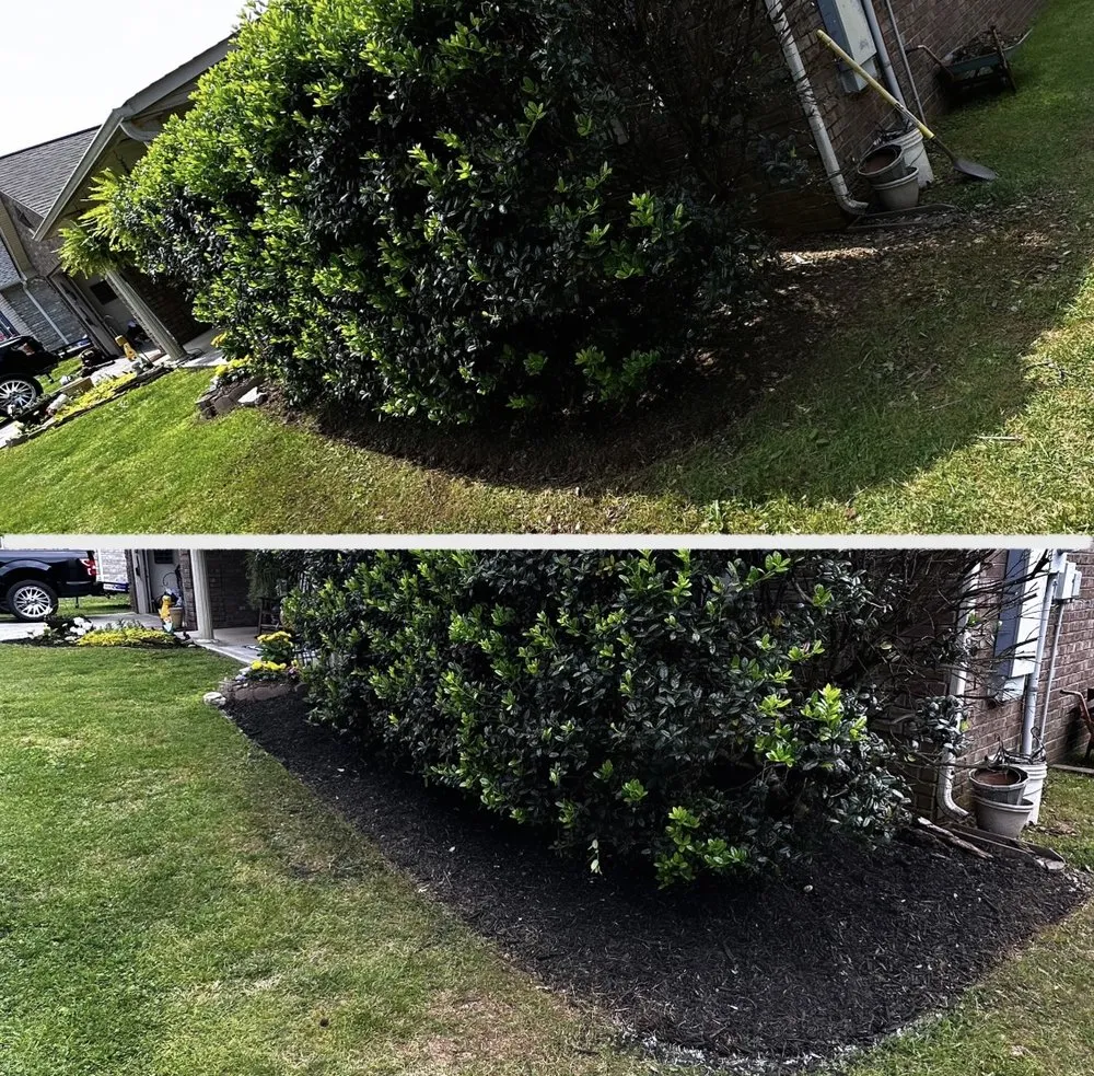 Reliable yard cleanup service for outdoor upgrades in Knoxville, TN by O Connor Group