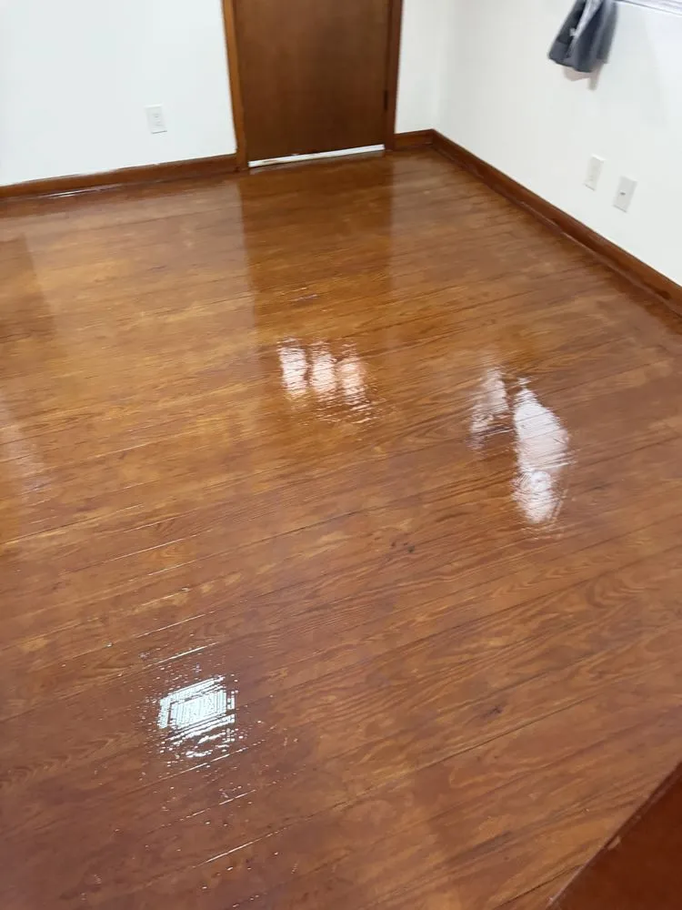 Reliable yard cleanup service in Knoxville, TN - O Connor Group