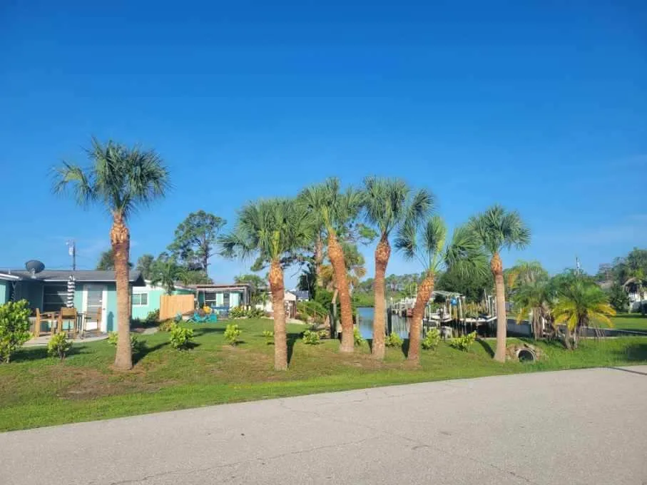Local yard cleanup service for residential properties across North Port, FL - O Donnell's Landscaping