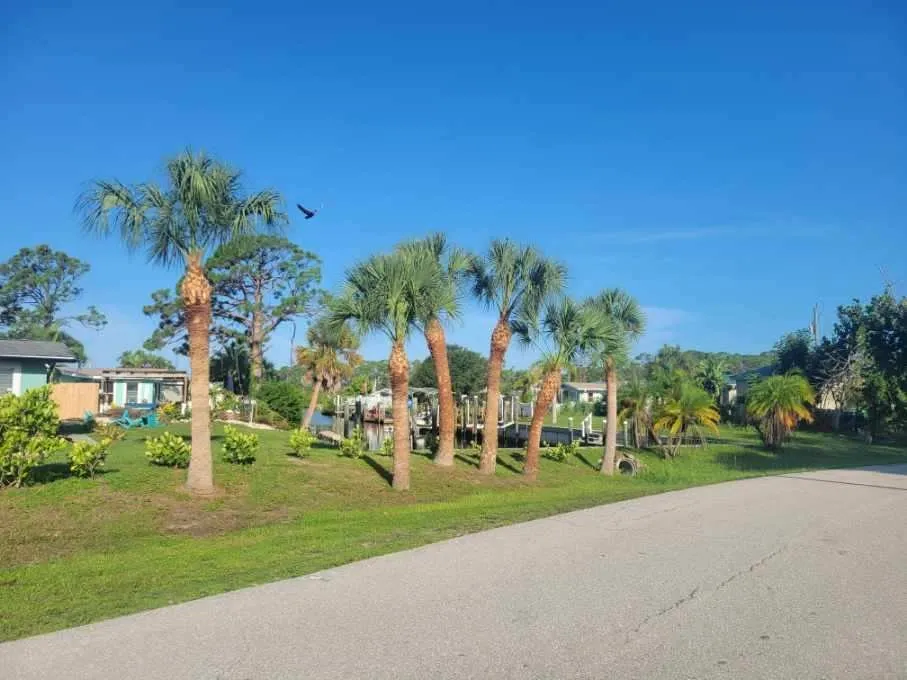 Expert yard cleanup service for homes in North Port, FL by O Donnell's Landscaping